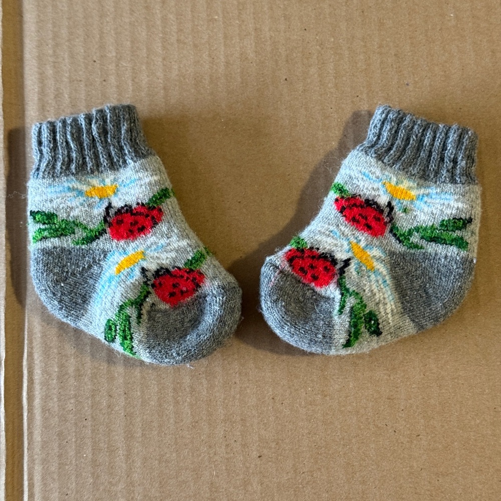 Gray and Red Ladybug Kids Socks